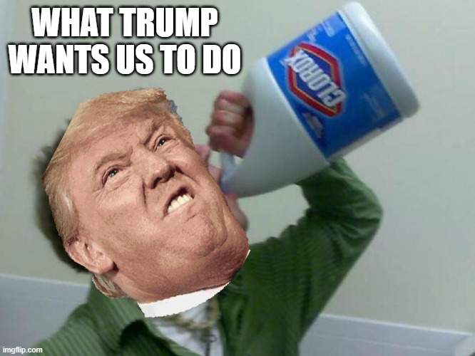 Drinking Bleach | WHAT TRUMP WANTS US TO DO | image tagged in drinking bleach | made w/ Imgflip meme maker