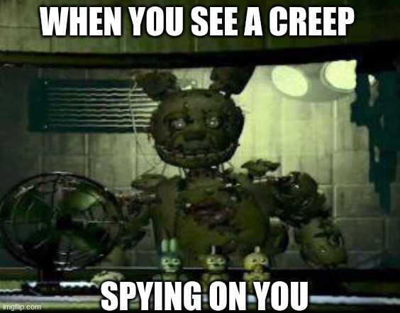 FNAF Springtrap in window | WHEN YOU SEE A CREEP; SPYING ON YOU | image tagged in fnaf springtrap in window | made w/ Imgflip meme maker