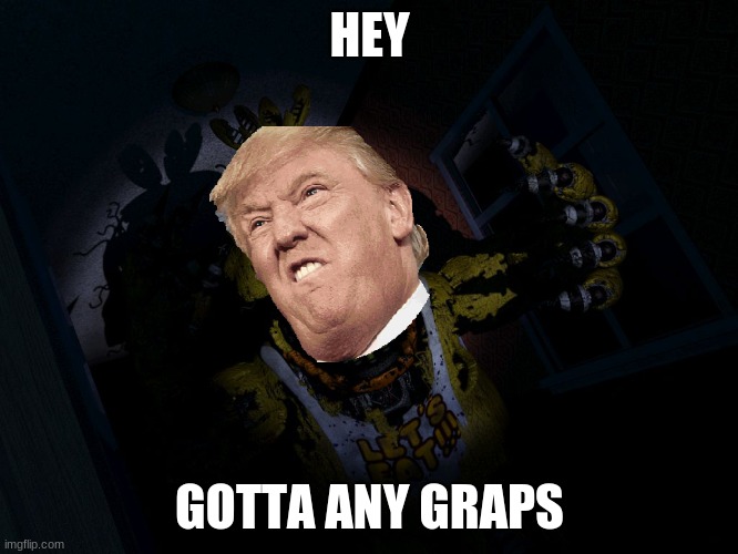 memes | HEY; GOTTA ANY GRAPS | image tagged in fnaf chica screa | made w/ Imgflip meme maker