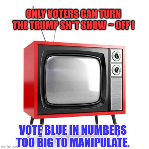 Only Voters can turn the trump Show ~ off ! | ONLY VOTERS CAN TURN THE TRUMP SH*T SHOW ~ OFF ! VOTE BLUE IN NUMBERS TOO BIG TO MANIPULATE. | image tagged in election 2020,trump,biden | made w/ Imgflip meme maker