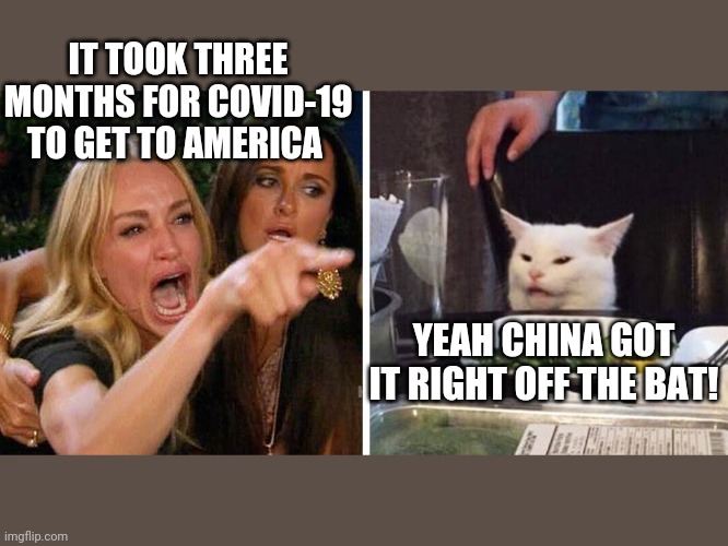 Smudge the cat | IT TOOK THREE MONTHS FOR COVID-19 TO GET TO AMERICA; YEAH CHINA GOT IT RIGHT OFF THE BAT! | image tagged in smudge the cat | made w/ Imgflip meme maker