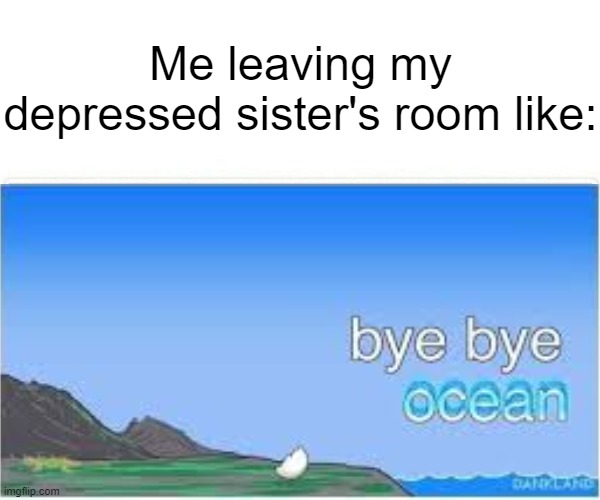 kinda true tho | Me leaving my depressed sister's room like: | image tagged in memes | made w/ Imgflip meme maker