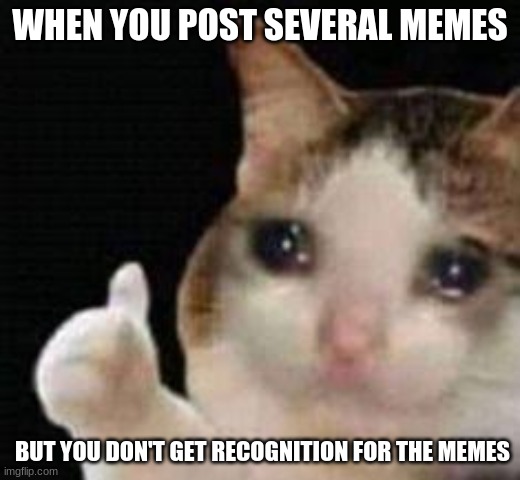 Don't you hate when this happens? | WHEN YOU POST SEVERAL MEMES; BUT YOU DON'T GET RECOGNITION FOR THE MEMES | image tagged in approved crying cat,crying,true | made w/ Imgflip meme maker