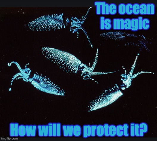 The Ocean is Magic | The ocean is magic; How will we protect it? | image tagged in ocean,squid,magic | made w/ Imgflip meme maker