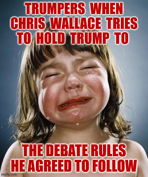 So Unfair! | TRUMPERS  WHEN
CHRIS  WALLACE  TRIES
TO  HOLD  TRUMP  TO; THE DEBATE RULES HE AGREED TO FOLLOW | image tagged in trump pence 2020,presidential debates,chris wallace,crybaby,funny,memes | made w/ Imgflip meme maker