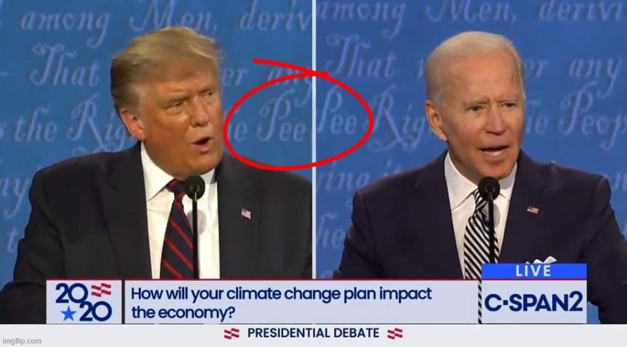 why isnt the msm talking about this | image tagged in repost,pee,presidential debate,debate,politics lol,political humor | made w/ Imgflip meme maker