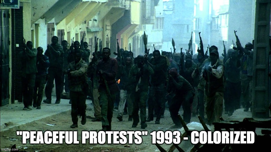 Peaceful Protests | "PEACEFUL PROTESTS" 1993 - COLORIZED | image tagged in politics,blm | made w/ Imgflip meme maker
