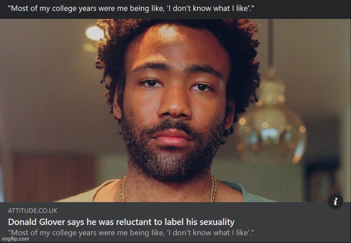 Donald Glover didn't want to put a label on it. And he doesn't have to. | image tagged in lgbtq,sexuality,bisexual,homosexuality,childish gambino,lgbt | made w/ Imgflip meme maker