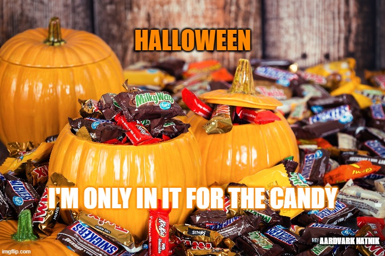 candy | HALLOWEEN; I'M ONLY IN IT FOR THE CANDY; AARDVARK NATNIK | image tagged in halloween | made w/ Imgflip meme maker