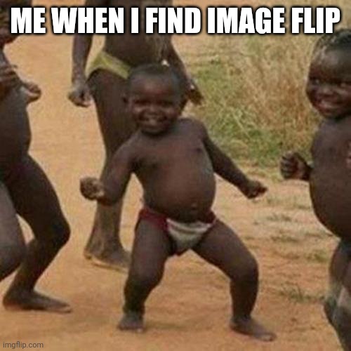 When I find image flip | ME WHEN I FIND IMAGE FLIP | image tagged in memes,third world success kid | made w/ Imgflip meme maker