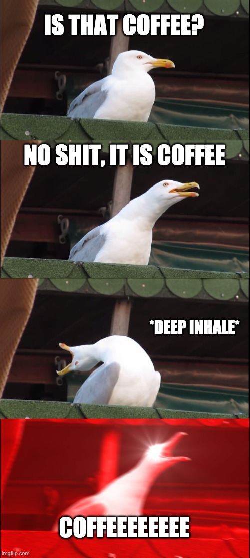 Inhaling Seagull | IS THAT COFFEE? NO SHIT, IT IS COFFEE; *DEEP INHALE*; COFFEEEEEEEE | image tagged in memes,inhaling seagull | made w/ Imgflip meme maker