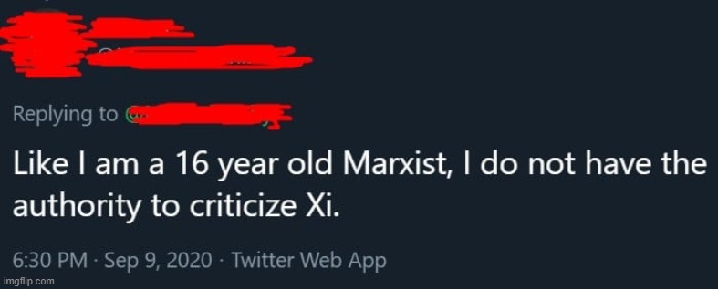 mb you ought to get off of that chinese propaganda young one | image tagged in xi jinping,leftists,leftist,cringe,cringe worthy,marxism | made w/ Imgflip meme maker