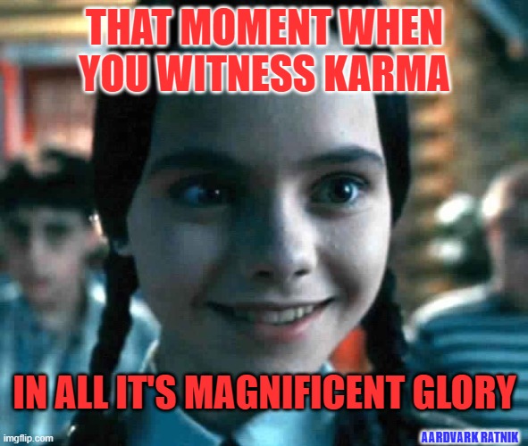 Soul mate | THAT MOMENT WHEN YOU WITNESS KARMA; IN ALL IT'S MAGNIFICENT GLORY; AARDVARK RATNIK | image tagged in wednesday addams | made w/ Imgflip meme maker