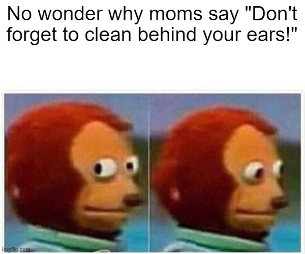 Monkey Puppet Meme | No wonder why moms say "Don't forget to clean behind your ears!" | image tagged in memes,monkey puppet | made w/ Imgflip meme maker
