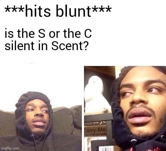 Scent | image tagged in gotanypain | made w/ Imgflip meme maker