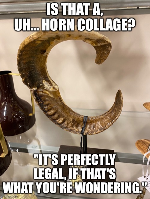 IS THAT A, UH... HORN COLLAGE? "IT'S PERFECTLY LEGAL, IF THAT'S WHAT YOU'RE WONDERING." | image tagged in memes | made w/ Imgflip meme maker