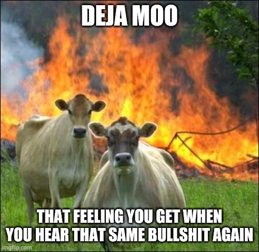 Evil Cows | DEJA MOO; THAT FEELING YOU GET WHEN YOU HEAR THAT SAME BULLSHIT AGAIN | image tagged in memes,evil cows | made w/ Imgflip meme maker