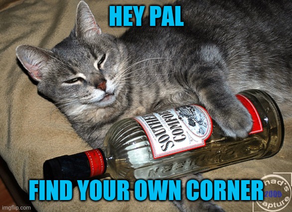 cat and liquor | HEY PAL FIND YOUR OWN CORNER | image tagged in cat and liquor | made w/ Imgflip meme maker