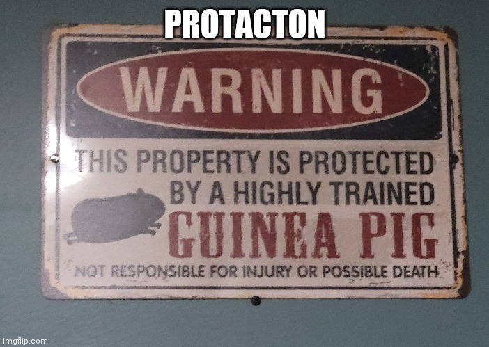 PROTACTON | made w/ Imgflip meme maker