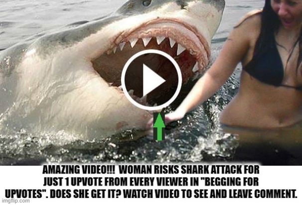 Amazing Shark Attack Video. | image tagged in shark attack,amazing,original memes,the meme zone,upvote memes,begging for upvotes | made w/ Imgflip meme maker