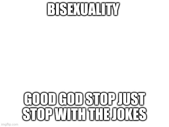 Blank White Template | BISEXUALITY; GOOD GOD STOP JUST STOP WITH THE JOKES | image tagged in blank white template | made w/ Imgflip meme maker