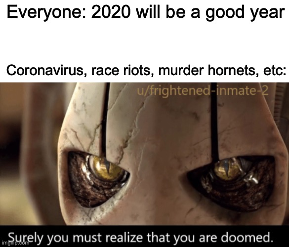 Credit to Trooper-46-Heccinchonky for the template | Everyone: 2020 will be a good year; Coronavirus, race riots, murder hornets, etc: | image tagged in surely you must realize that you are doomed,2020 sucks | made w/ Imgflip meme maker