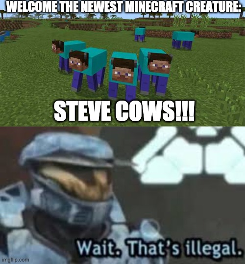 Steve Cows meme | WELCOME THE NEWEST MINECRAFT CREATURE:; STEVE COWS!!! | image tagged in me and the boys | made w/ Imgflip meme maker
