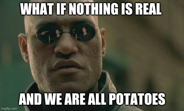 Matrix Morpheus Meme | WHAT IF NOTHING IS REAL; AND WE ARE ALL POTATOES | image tagged in memes,matrix morpheus | made w/ Imgflip meme maker