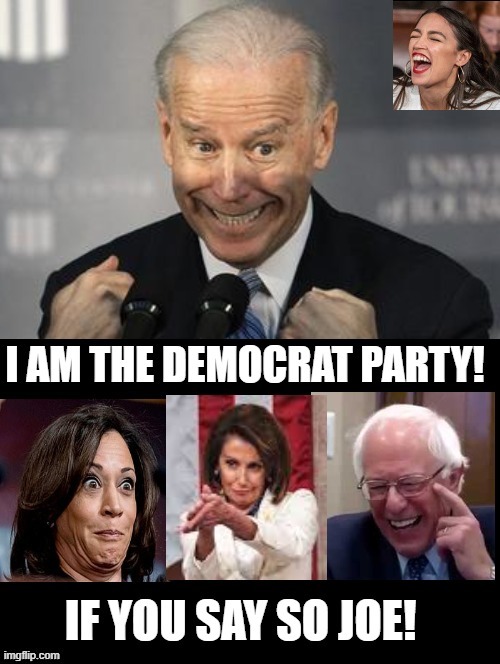 I Am The Democrat Party! If You Say So Joe! | image tagged in stupid liberals,biden | made w/ Imgflip meme maker