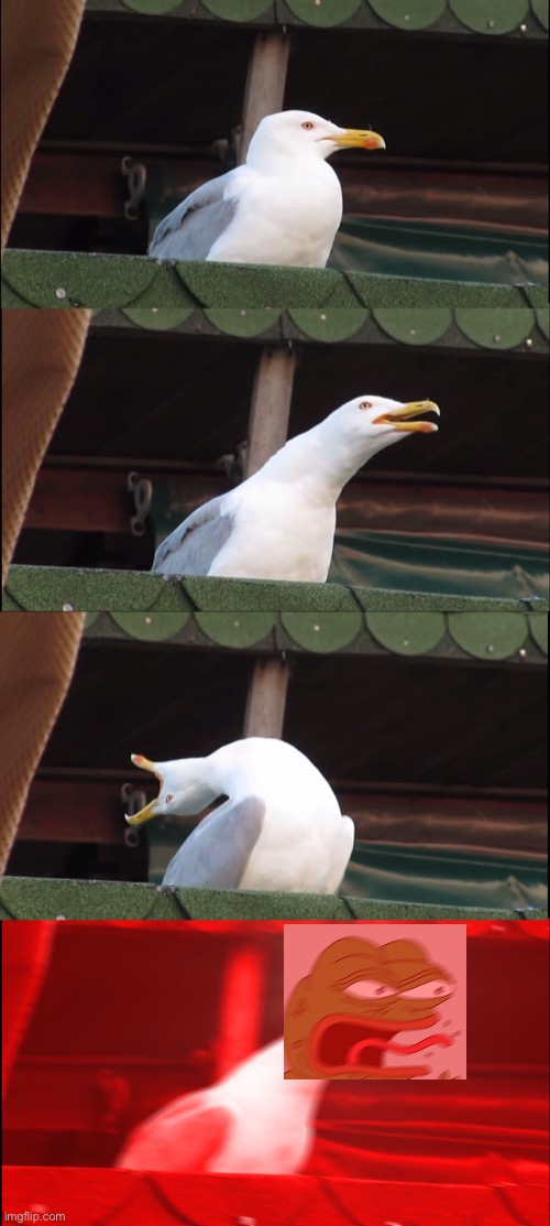 Idk | image tagged in memes,inhaling seagull | made w/ Imgflip meme maker