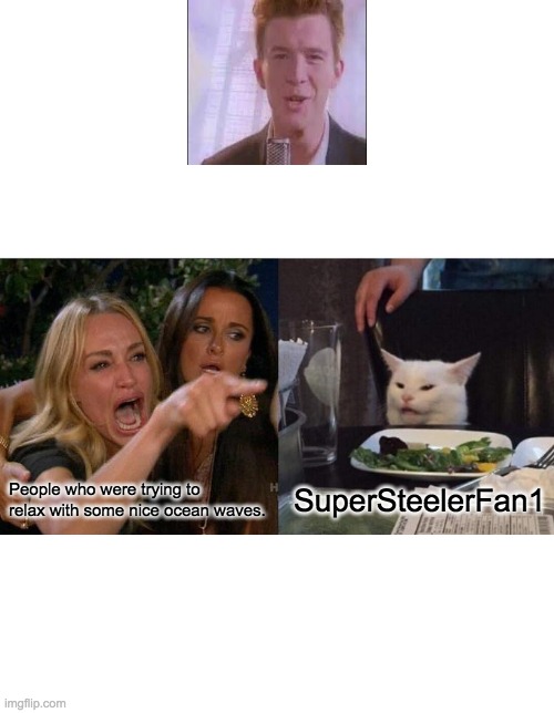 Woman Yelling At Cat | People who were trying to relax with some nice ocean waves. SuperSteelerFan1 | image tagged in memes,woman yelling at cat | made w/ Imgflip meme maker