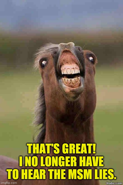 horse face | THAT'S GREAT! I NO LONGER HAVE TO HEAR THE MSM LIES. | image tagged in horse face | made w/ Imgflip meme maker
