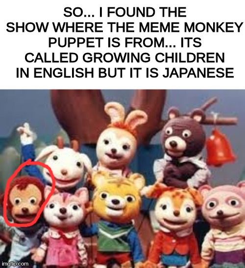 Origions of monkey puppet | SO... I FOUND THE SHOW WHERE THE MEME MONKEY PUPPET IS FROM... ITS CALLED GROWING CHILDREN IN ENGLISH BUT IT IS JAPANESE | image tagged in memes,funny,monkey puppet,origins,the colts will be super bowl champs,elmo is eating your cookies | made w/ Imgflip meme maker