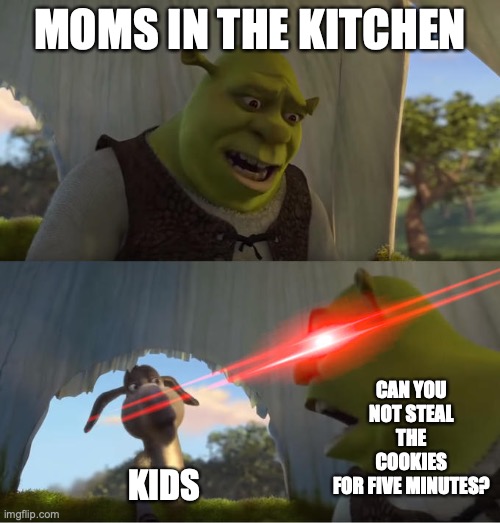 I like cookies | MOMS IN THE KITCHEN; CAN YOU NOT STEAL THE COOKIES
FOR FIVE MINUTES? KIDS | image tagged in shrek for five minutes,moms,kids | made w/ Imgflip meme maker