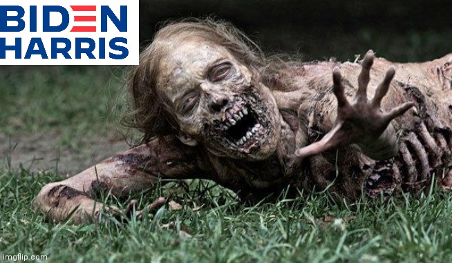 Walking Dead Zombie | image tagged in walking dead zombie | made w/ Imgflip meme maker