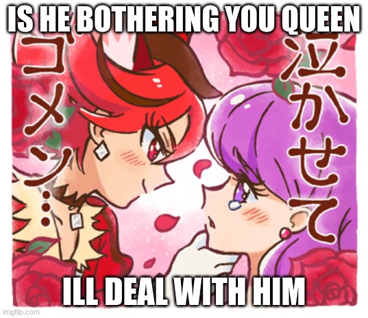 is he bothering you queen | IS HE BOTHERING YOU QUEEN; ILL DEAL WITH HIM | image tagged in precure,kirakiraprecurealamode | made w/ Imgflip meme maker