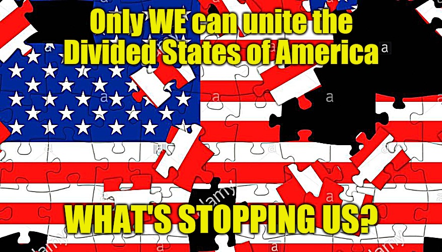 Divided States of America | Only WE can unite the
Divided States of America; WHAT'S STOPPING US? | image tagged in american flag | made w/ Imgflip meme maker