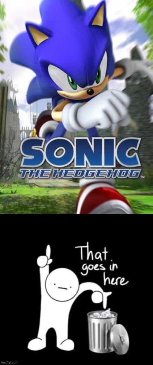 Sonelise is a massive no | image tagged in that goes in here,sonic the hedgehog,sonic 06,memes,funny,nope | made w/ Imgflip meme maker