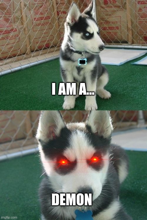 cute demon | I AM A... DEMON | image tagged in memes,insanity puppy | made w/ Imgflip meme maker