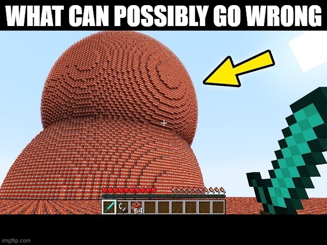 WHAT CAN POSSIBLY GO WRONG | made w/ Imgflip meme maker