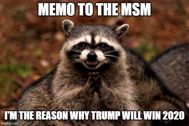Evil Plotting Raccoon | MEMO TO THE MSM; I'M THE REASON WHY TRUMP WILL WIN 2020 | image tagged in memes,evil plotting raccoon | made w/ Imgflip meme maker