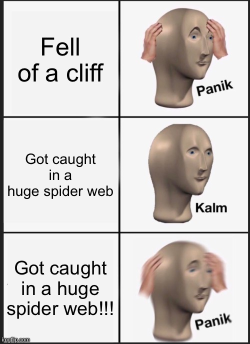 What!! | Fell of a cliff; Got caught in a huge spider web; Got caught in a huge spider web!!! | image tagged in memes,panik kalm panik | made w/ Imgflip meme maker