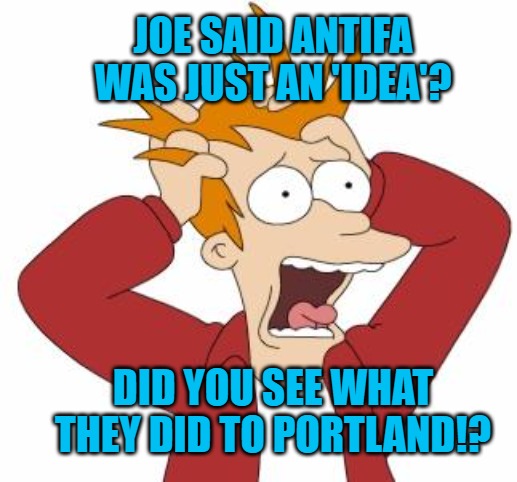 Fry Freaking Out | JOE SAID ANTIFA WAS JUST AN 'IDEA'? DID YOU SEE WHAT THEY DID TO PORTLAND!? | image tagged in fry freaking out | made w/ Imgflip meme maker