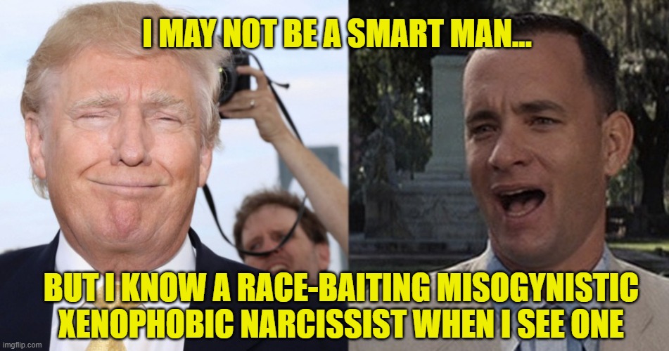 Forrest/Trump | I MAY NOT BE A SMART MAN... BUT I KNOW A RACE-BAITING MISOGYNISTIC XENOPHOBIC NARCISSIST WHEN I SEE ONE | image tagged in racist,potus45,forrest gump,tom hanks,presidential alert | made w/ Imgflip meme maker
