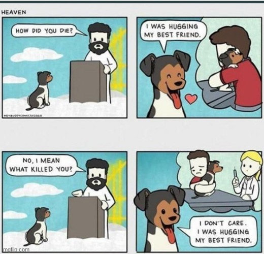 Oh God... | image tagged in memes,dogs,comics,funny,dark humor,ricky gervais | made w/ Imgflip meme maker