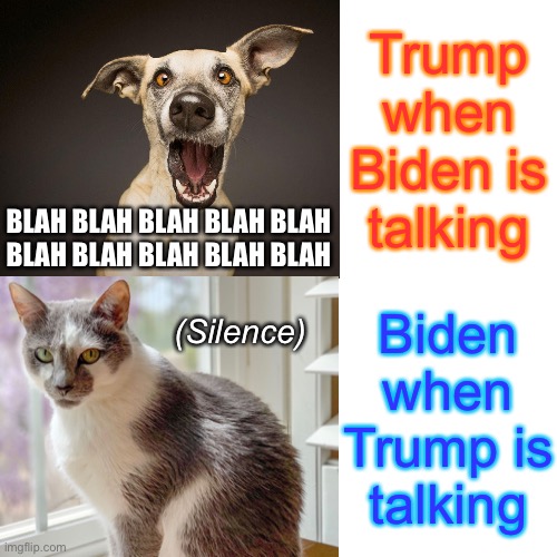 Talker vs. silence | Trump when Biden is talking; BLAH BLAH BLAH BLAH BLAH
BLAH BLAH BLAH BLAH BLAH; (Silence); Biden when Trump is talking | image tagged in joe biden,donald trump | made w/ Imgflip meme maker