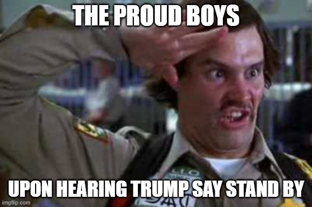 pictured here | THE PROUD BOYS; UPON HEARING TRUMP SAY STAND BY | image tagged in doofus | made w/ Imgflip meme maker