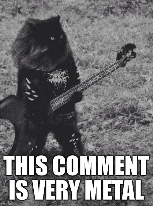 Black Metal Cat | THIS COMMENT IS VERY METAL | image tagged in black metal cat | made w/ Imgflip meme maker