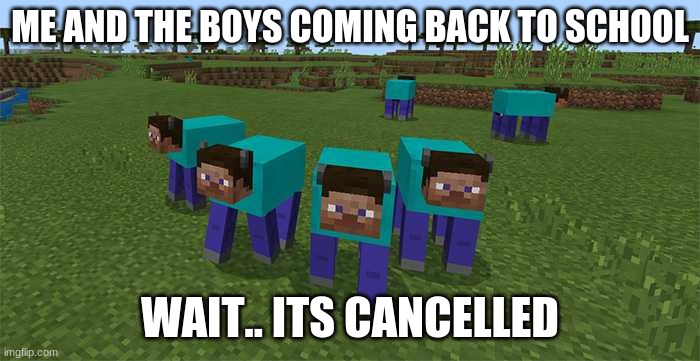 me and the boys | ME AND THE BOYS COMING BACK TO SCHOOL; WAIT.. ITS CANCELLED | image tagged in me and the boys | made w/ Imgflip meme maker