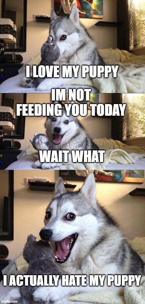 Bad Pun Dog | I LOVE MY PUPPY; IM NOT FEEDING YOU TODAY; WAIT WHAT; I ACTUALLY HATE MY PUPPY | image tagged in memes,bad pun dog | made w/ Imgflip meme maker